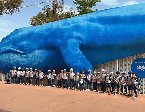 EXCURSIÓ A L’OCEANOGRÀFIC